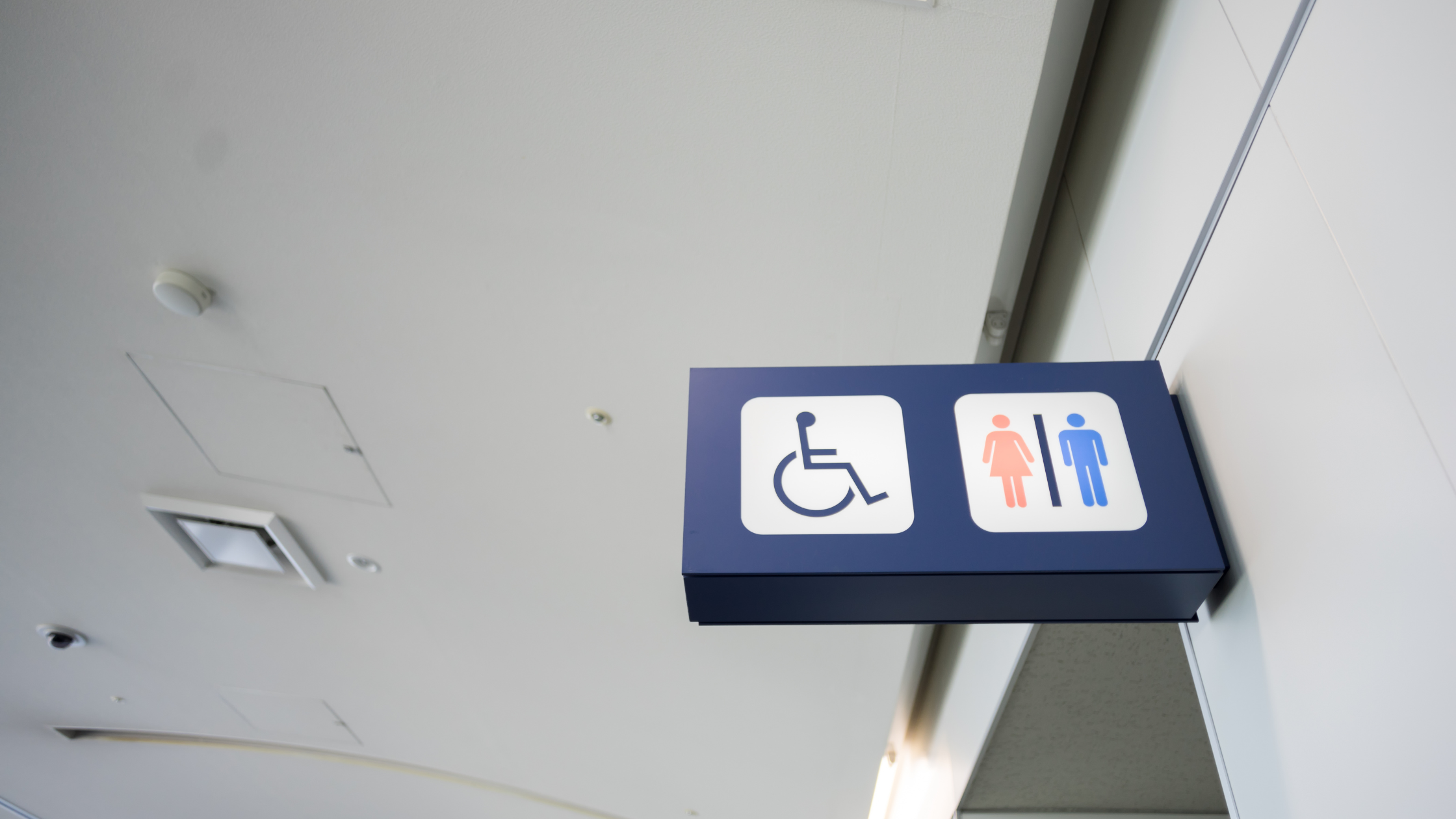 Public disability bathrooms